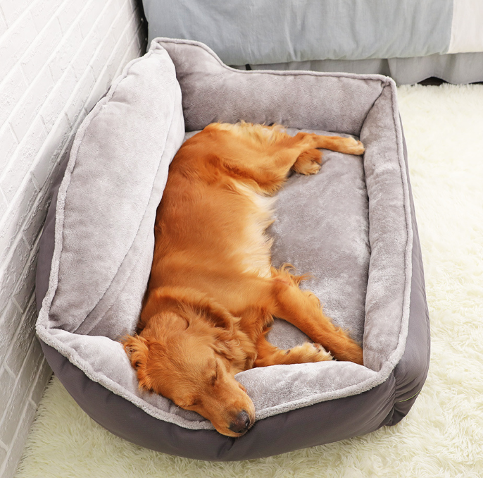 Portable Dog Bed